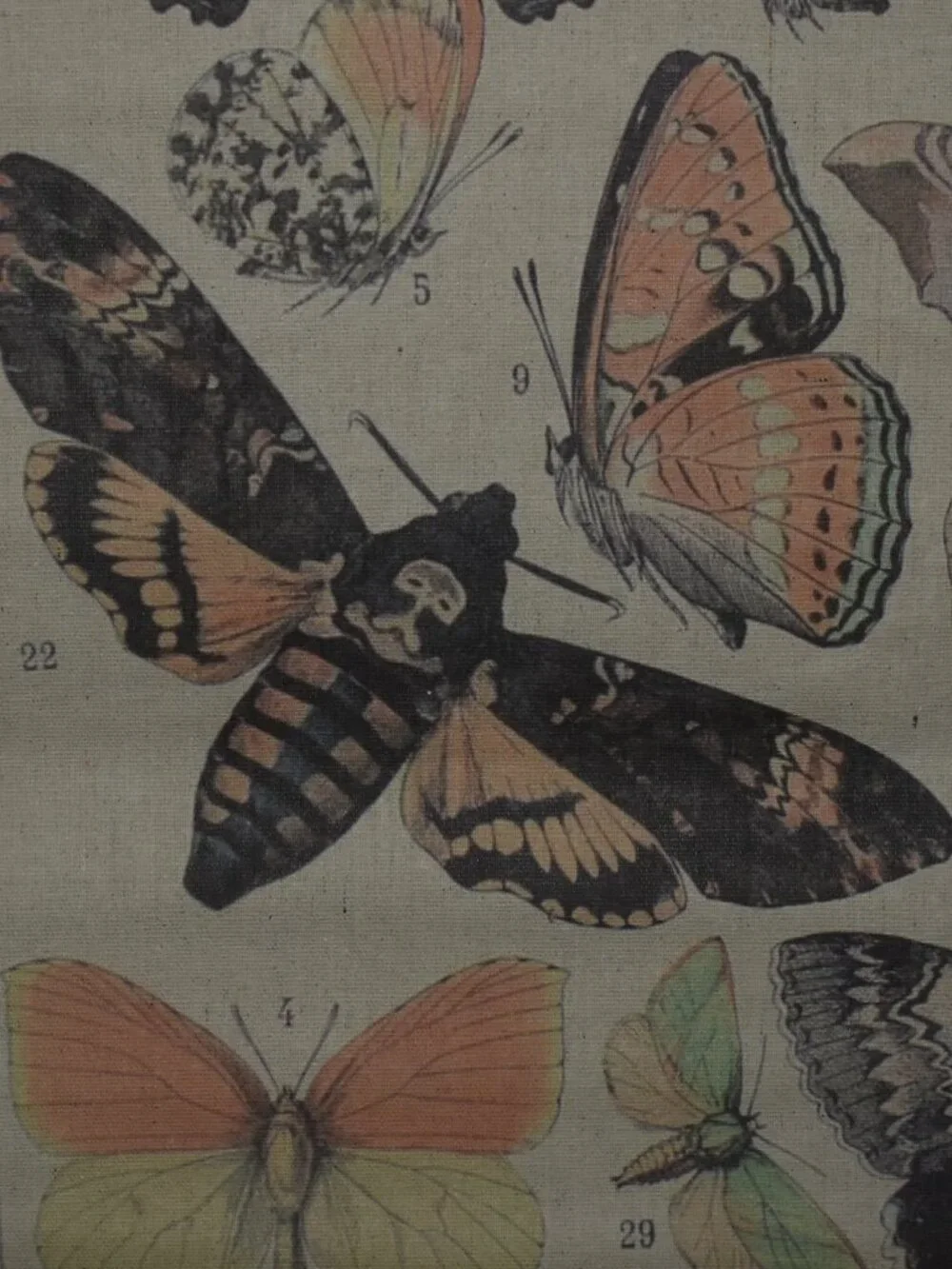 Butterfly Moth Large Linen Canvas Scroll Tapestry Boho Cottagecore Wall Decor
